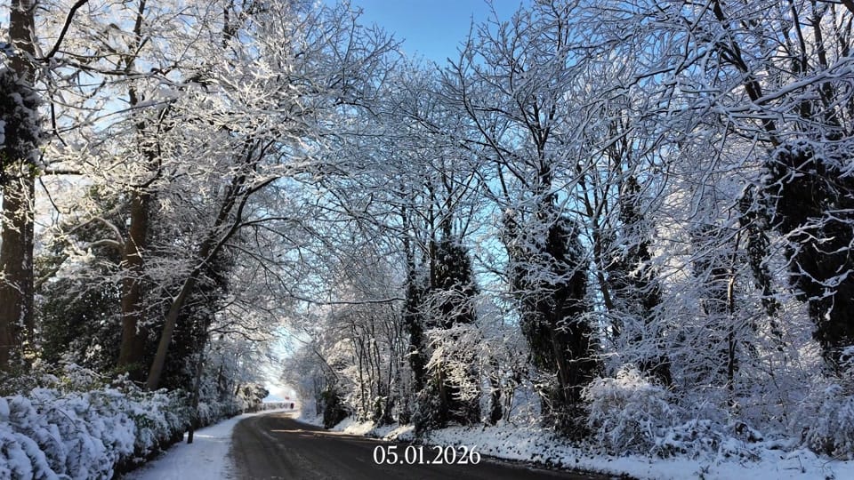 Post 2 by Leah Kia🌞 Content Creator on TikTok (video)