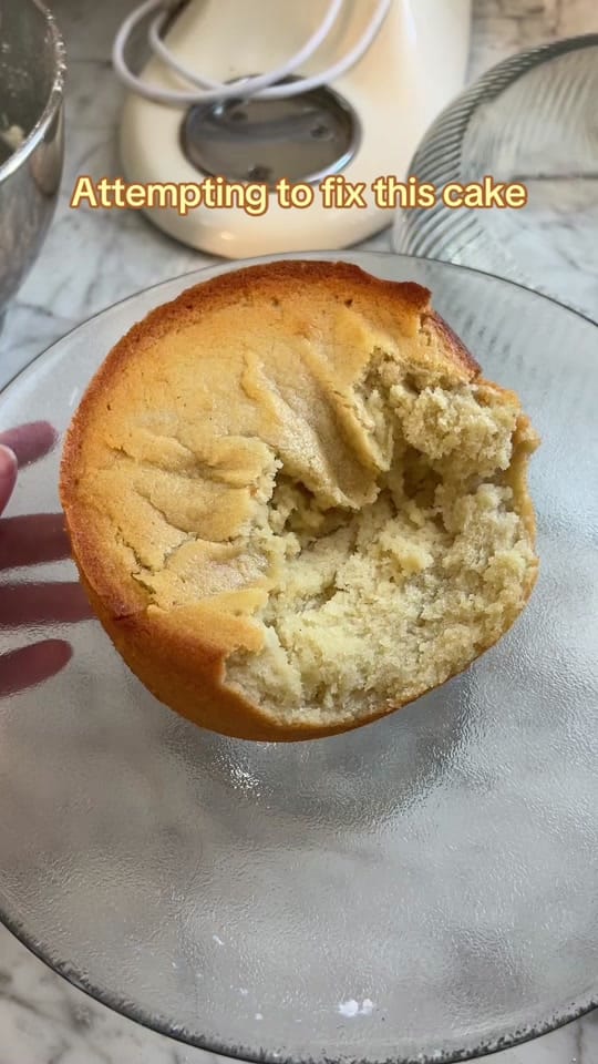 Post 6 by Shelby Kwast on TikTok (video)