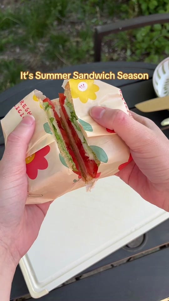 Post 3 by Shelby Kwast on TikTok (video)