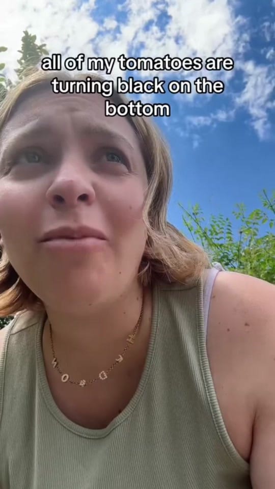 Post 5 by Alexandra on TikTok (video)