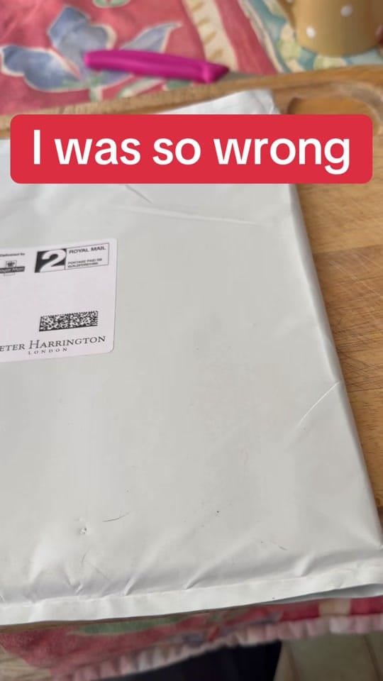 Post 6 by David Harry - The London Spy on TikTok (video)