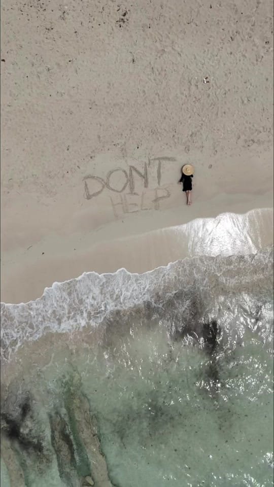 Post 10 by Visualsofalexandra on TikTok (video)
