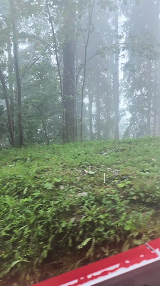 Post 7 by Nurin Adenin🌷 on TikTok (video)