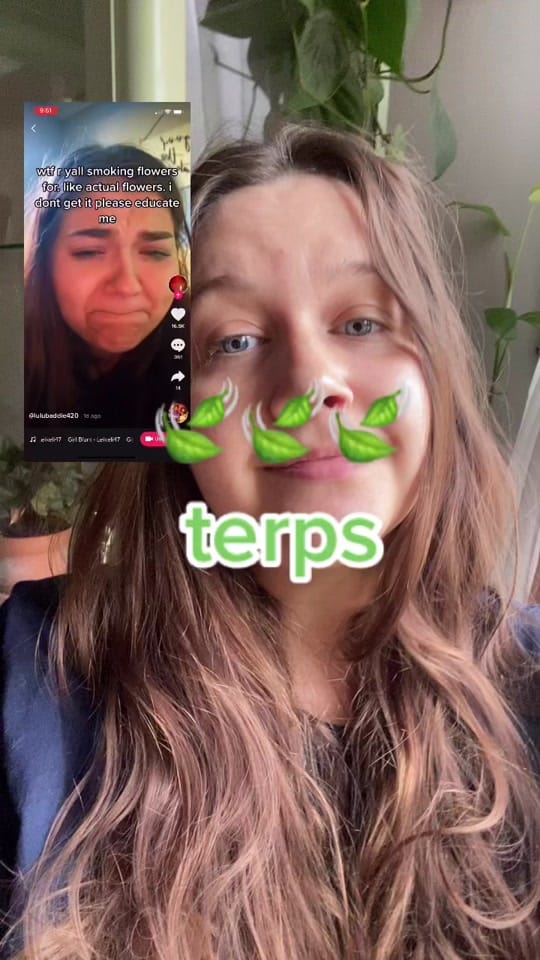 Post 9 by celestial.chelsea on TikTok (video)