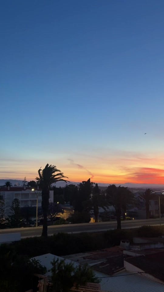 Post 4 by Lauren 🌞🌴 on TikTok (video)