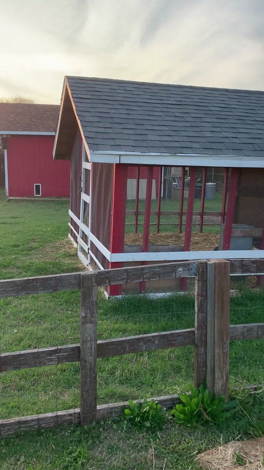 Post 2 by Two Drs Homestead on TikTok (video)
