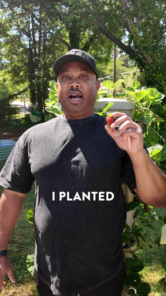 Post 5 by ATL Grow | Urban Gardening on TikTok (video)