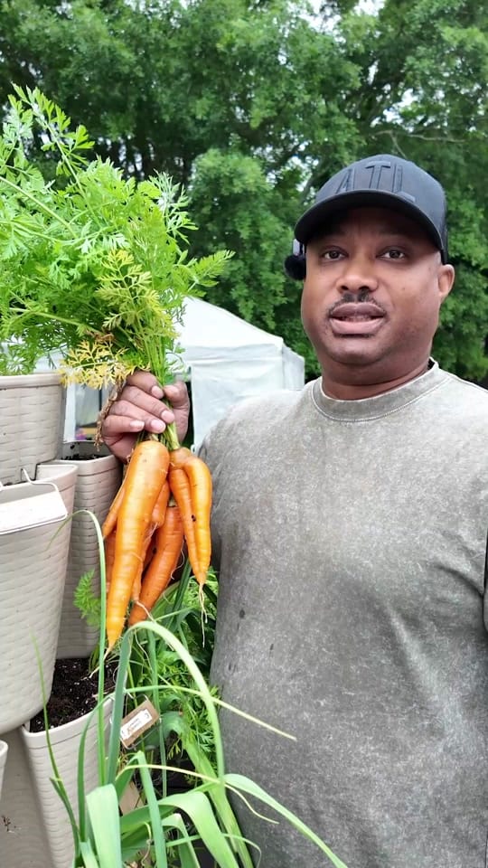 Post 4 by ATL Grow | Urban Gardening on TikTok (video)