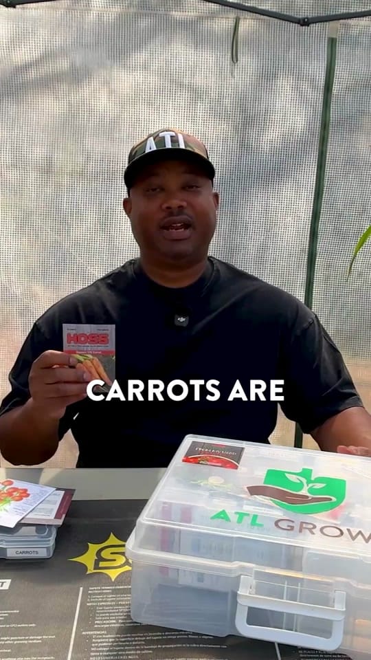 Post 8 by ATL Grow | Urban Gardening on TikTok (video)