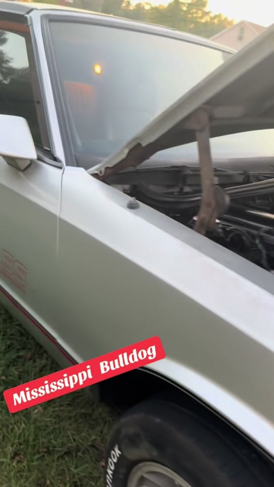 Post 5 by 23nvestment on TikTok (video)