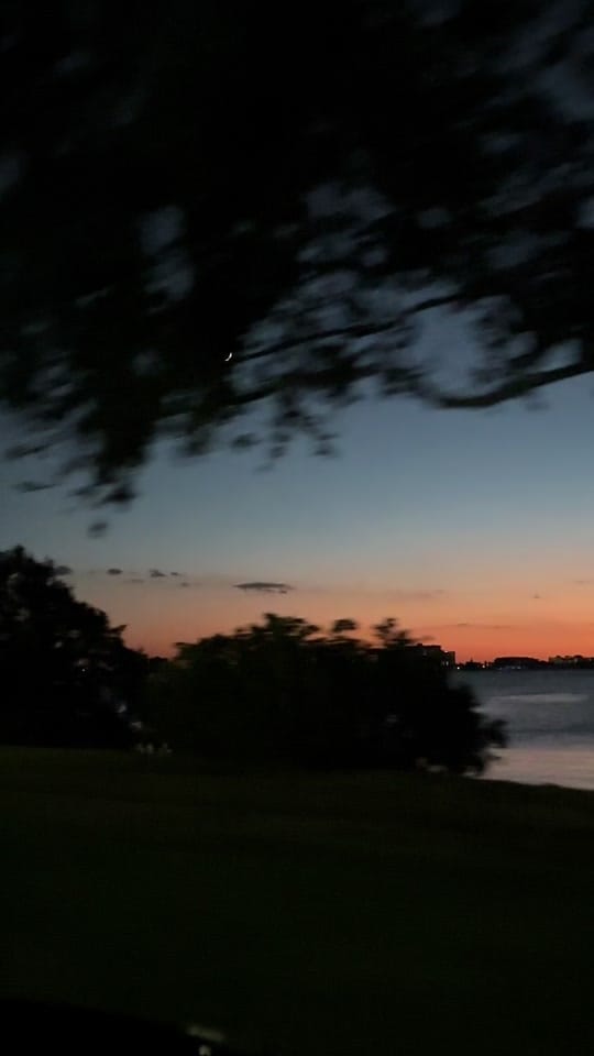 Post 2 by Marilyn B Gardens🍃🌱🌺 on TikTok (video)