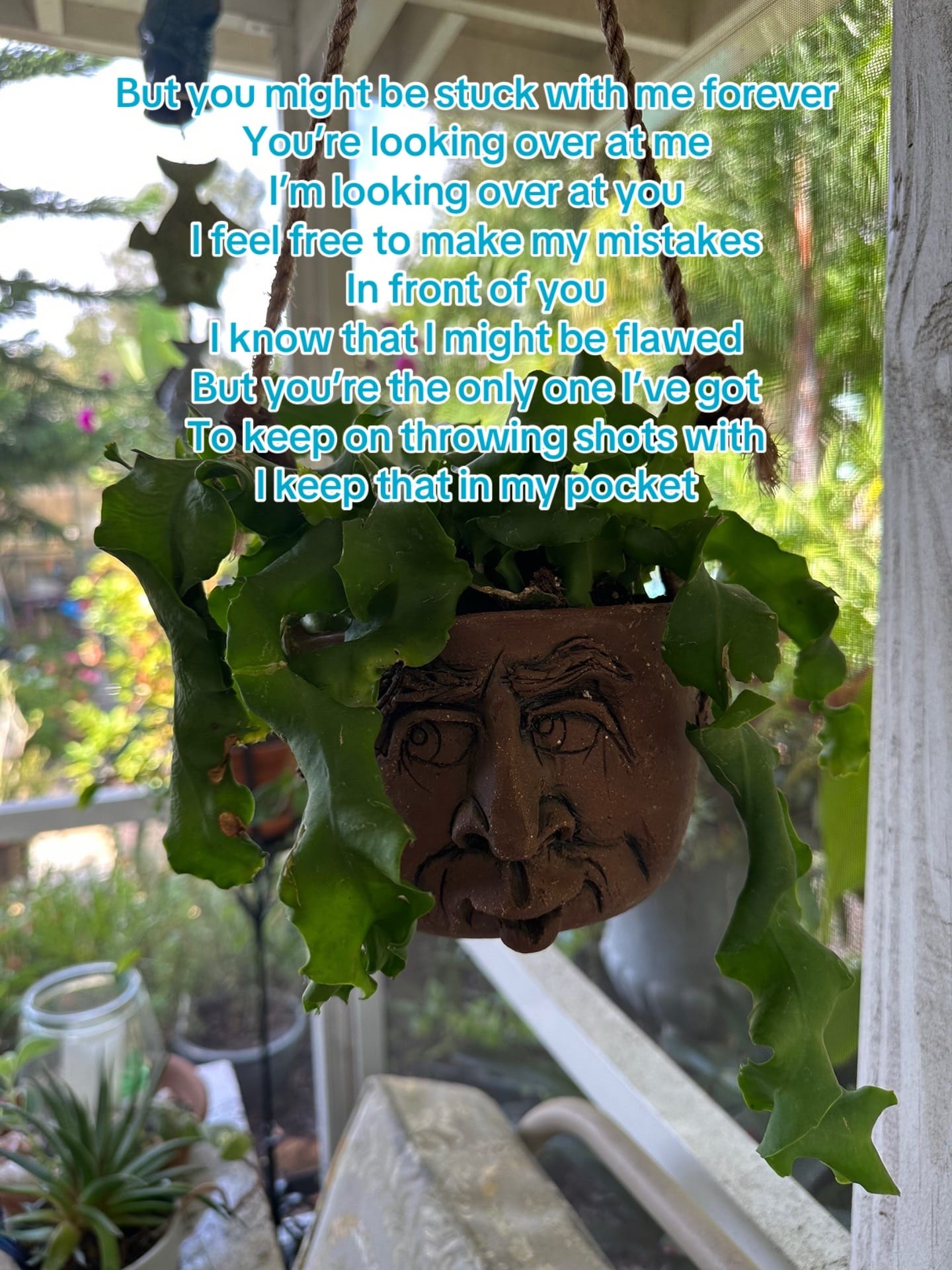 Post 5 by Marilyn B Gardens🍃🌱🌺 on TikTok (video)
