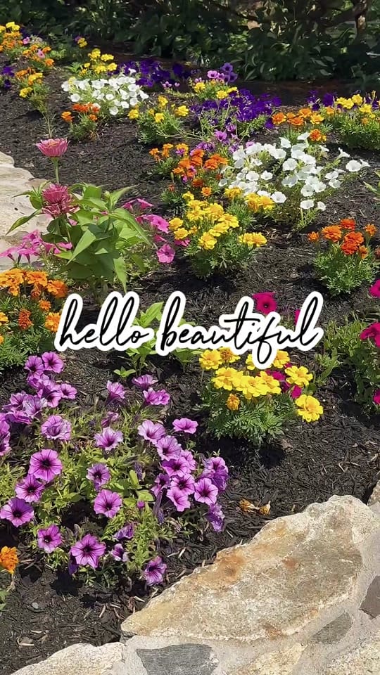 Post 9 by Marilyn B Gardens🍃🌱🌺 on TikTok (video)