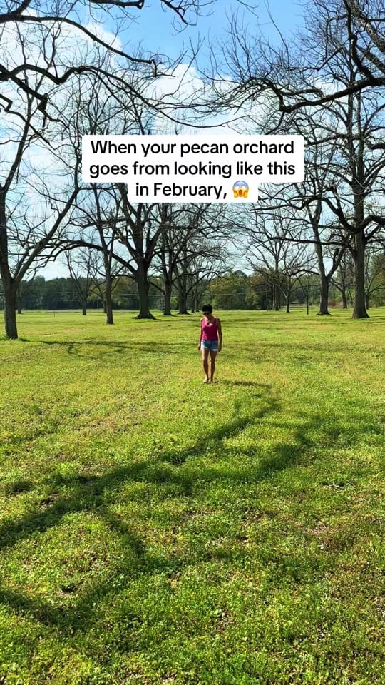 Post 3 by 🌟Hayden🌟 on TikTok (video)