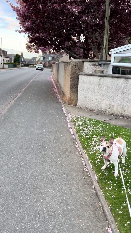 Post 5 by QM TRAVELS on TikTok (video)
