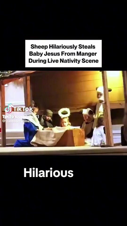 Post 5 by Vera Major on TikTok (video)