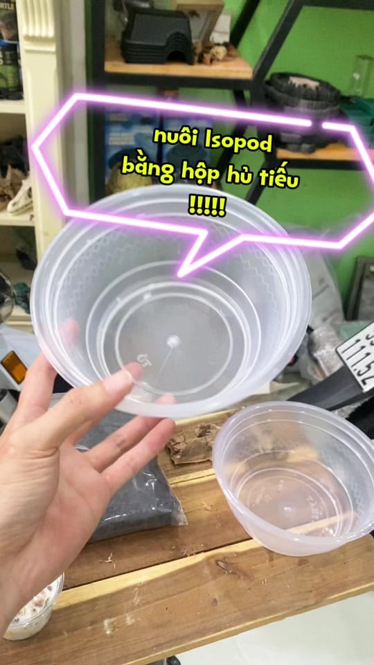 Post 7 by AKhome on TikTok (video)