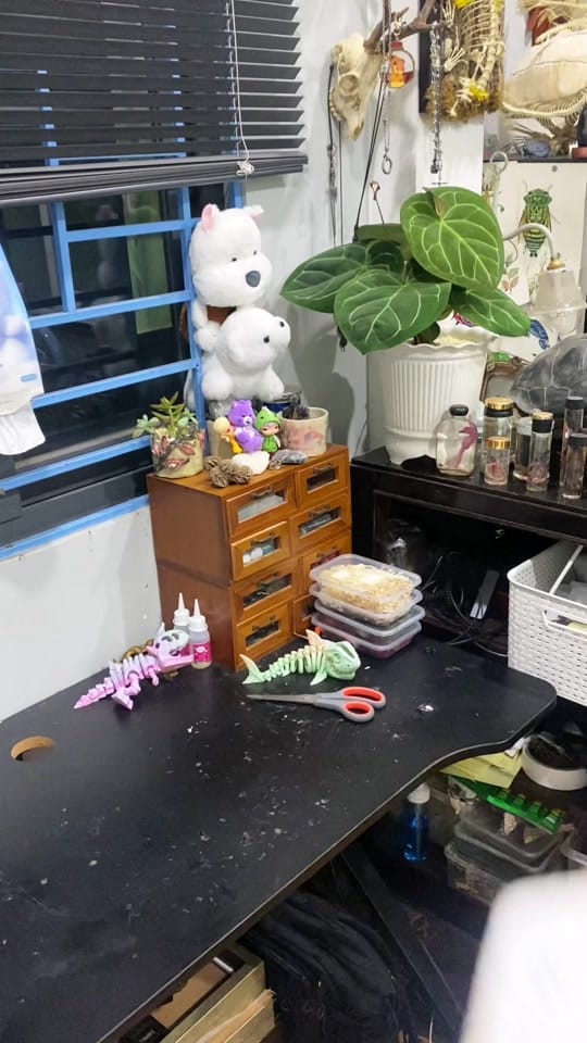 Post 3 by AKhome on TikTok (video)