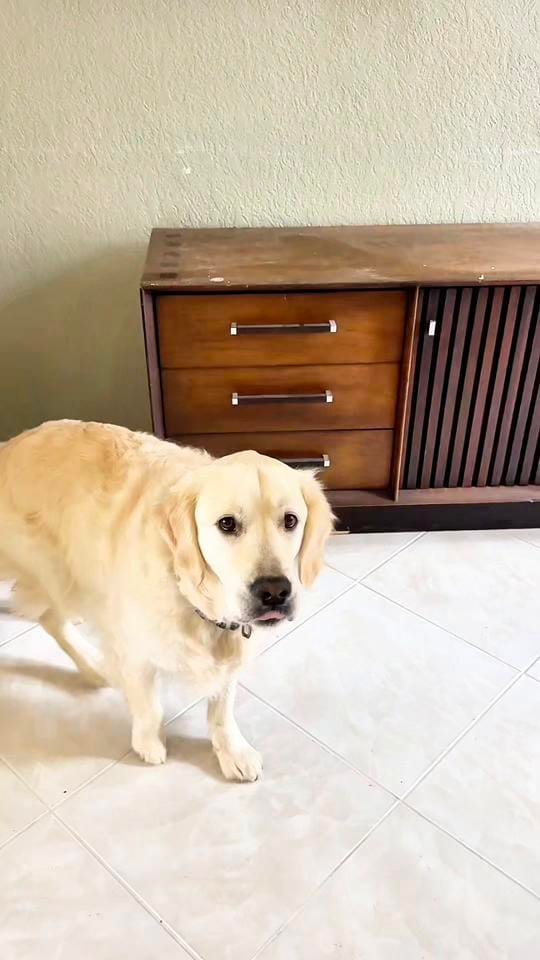 Post 3 by KellysFurnitureFlips on TikTok (video)