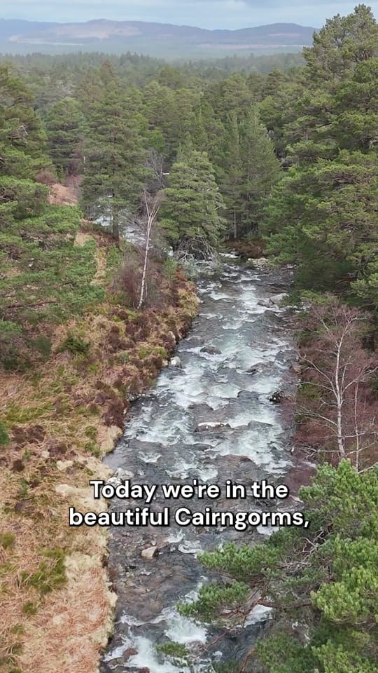 Post 5 by Tiso on TikTok (video)