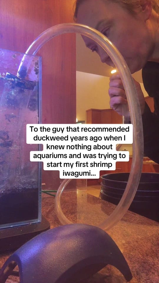Post 1 by SOMEONE FROM THE 80S on TikTok (video)
