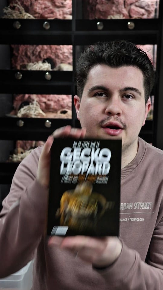 Post 6 by PlantesandKo on TikTok (video)