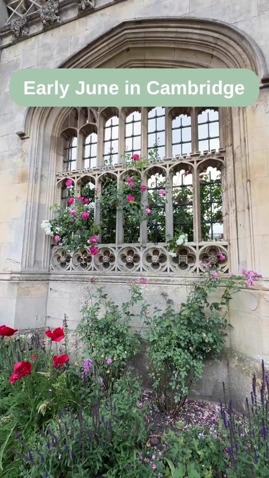 Post 6 by CambridgeWanders on TikTok (video)