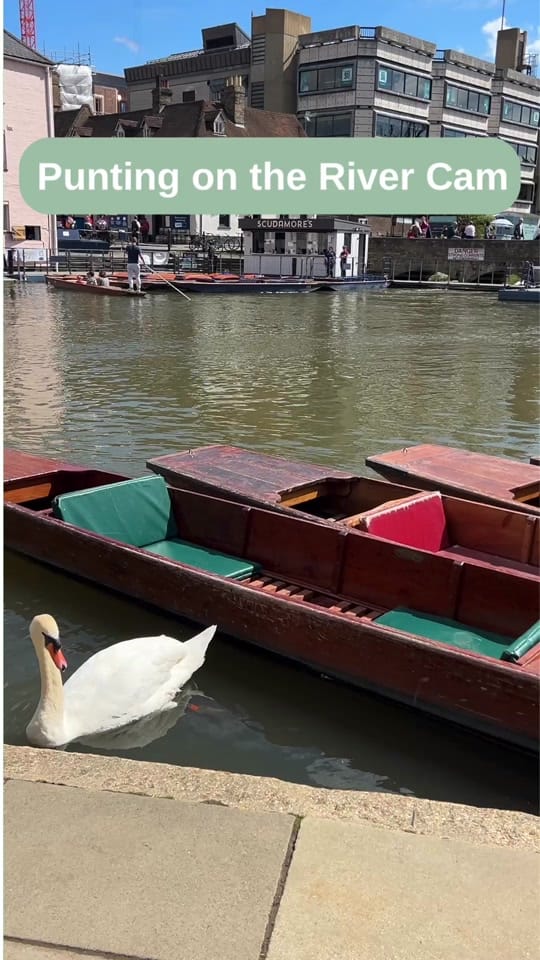 Post 10 by CambridgeWanders on TikTok (video)