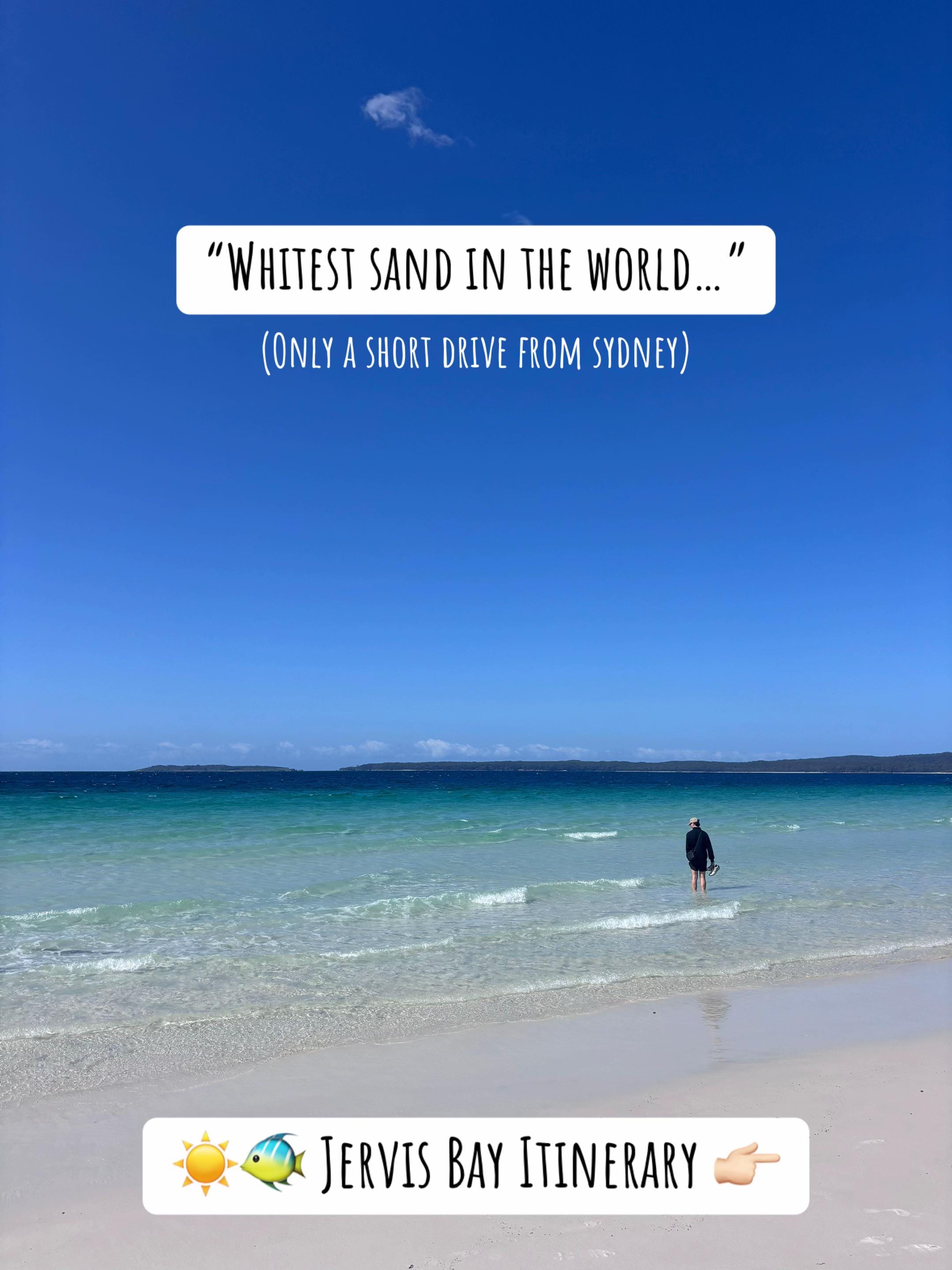 Post 10 by Tomos & Alaw | Our adventure on TikTok (video)