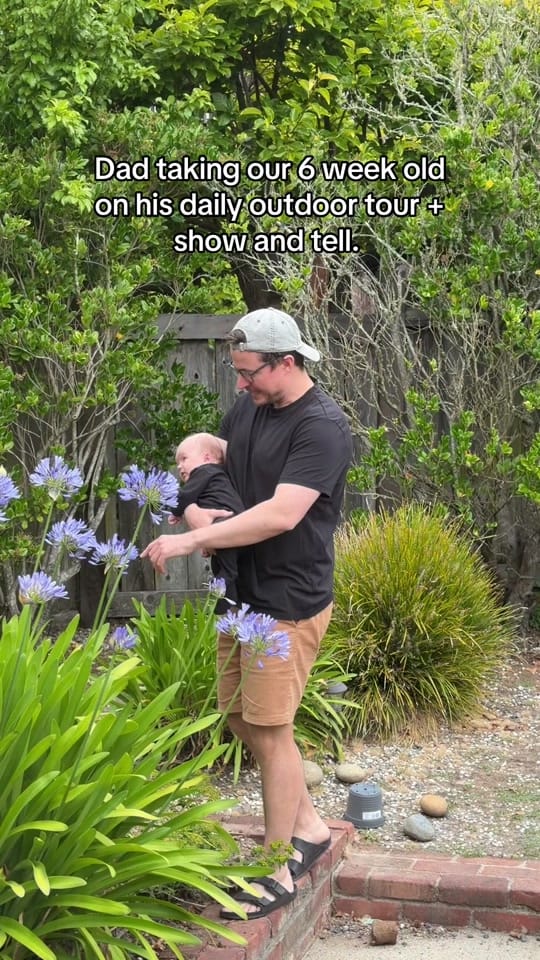 Post 1 by Jo_inthewild on TikTok (video)