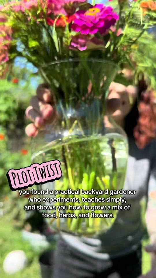Post 10 by SlightlyKnowledgeableGardener on TikTok (video)