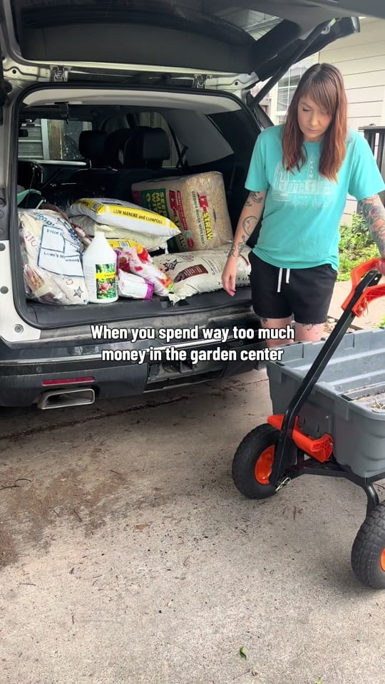 Post 3 by SlightlyKnowledgeableGardener on TikTok (video)
