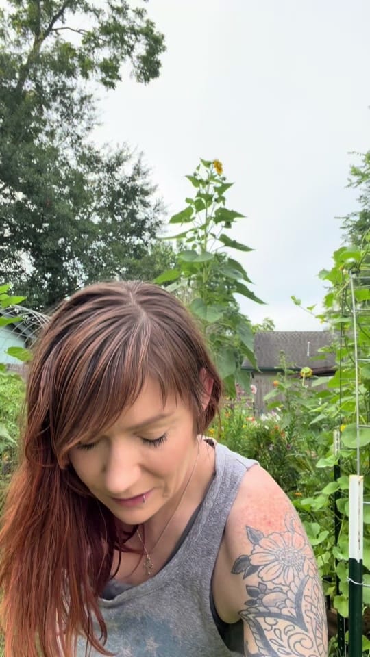 Post 8 by SlightlyKnowledgeableGardener on TikTok (video)