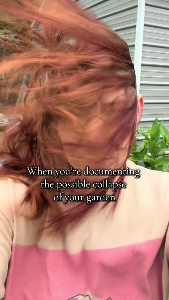 Post 6 by SlightlyKnowledgeableGardener on TikTok (video)