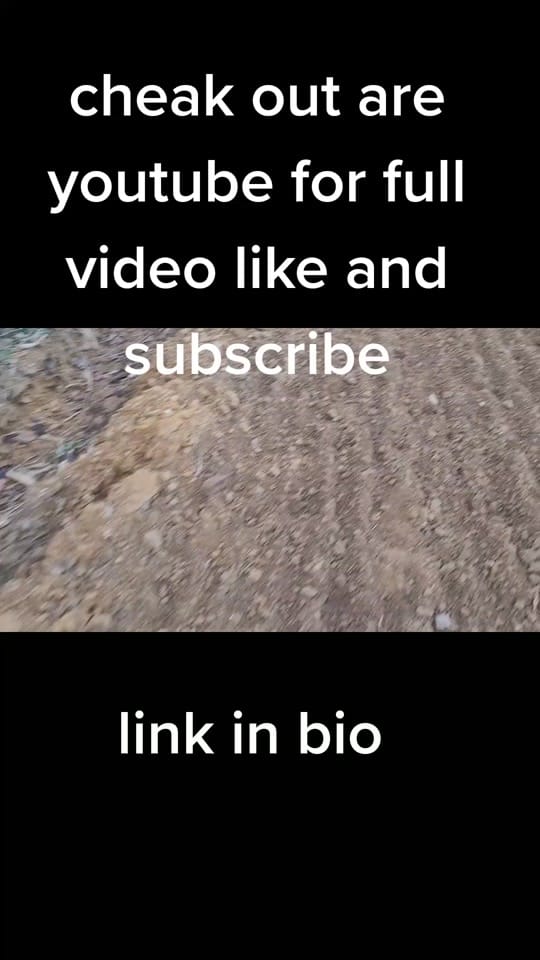 Post 4 by ExplorigwiththeYorkshiremen on TikTok (video)