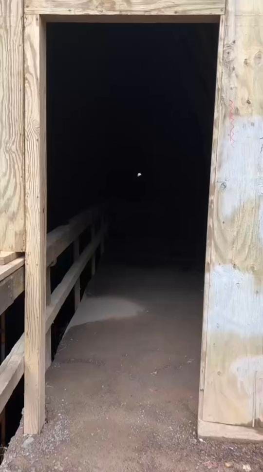 Post 5 by DCDesignTours on TikTok (video)