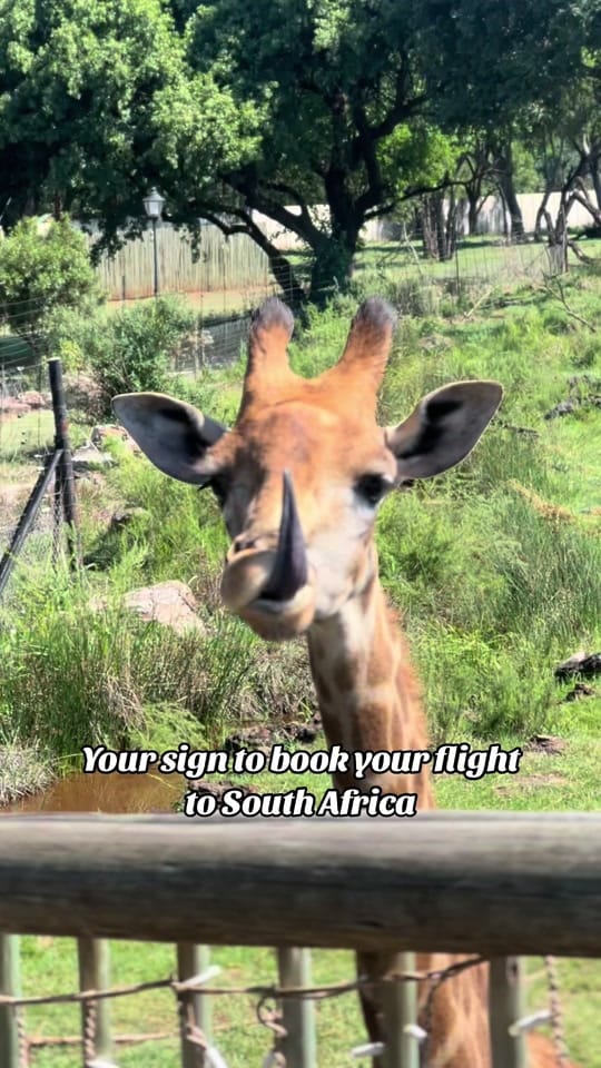 Post 7 by Travel Content Creators on TikTok (video)