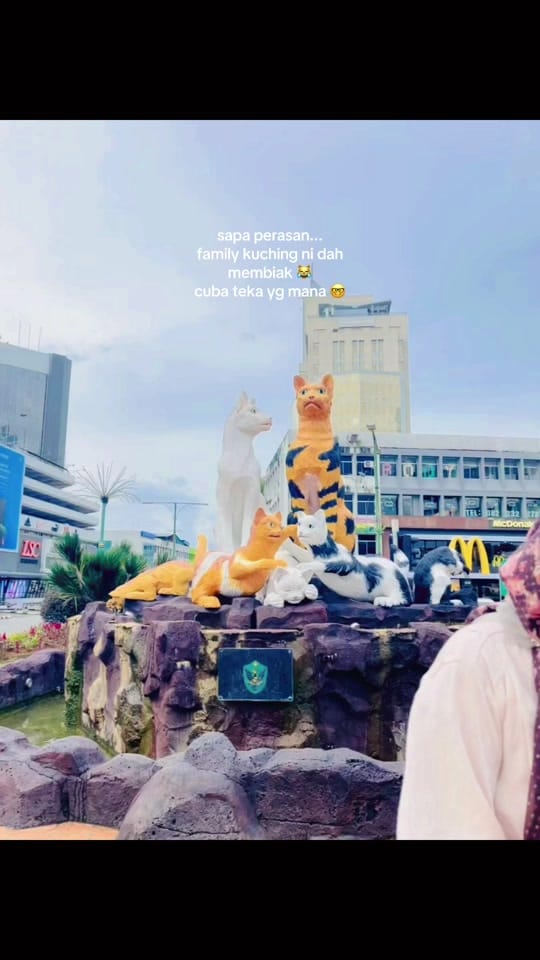 Post 6 by Neqrose | Start-Up Directory on TikTok (video)