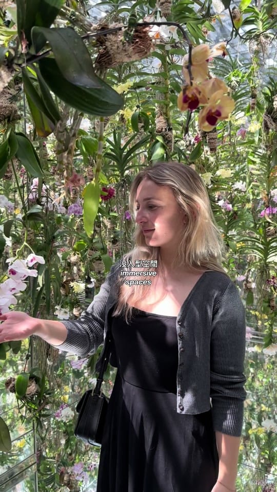 Post 3 by stemshawty on TikTok (video)
