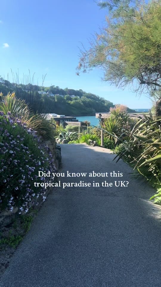 Post 10 by Carbis Bay Estate on TikTok (video)