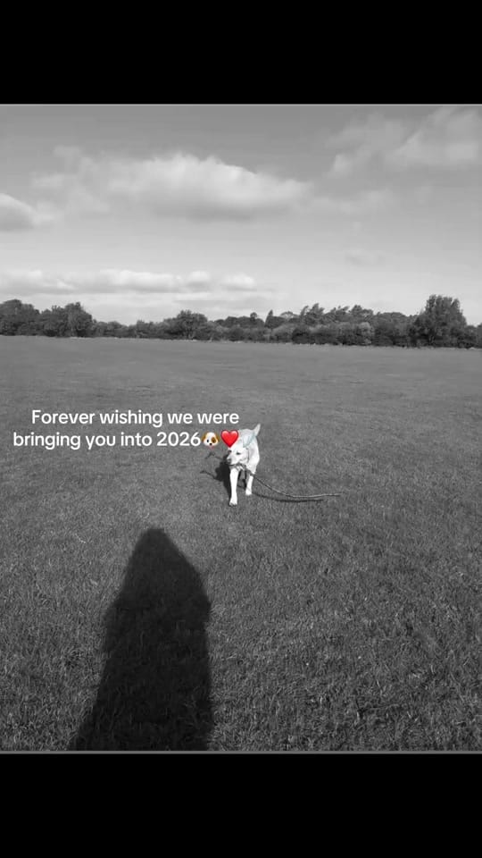 Post 5 by Zoe Nicole 📸 on TikTok (video)
