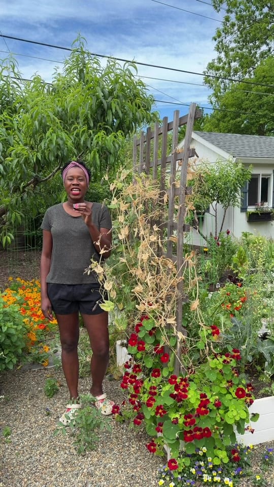 Post 1 by curlycultivators on TikTok (video)