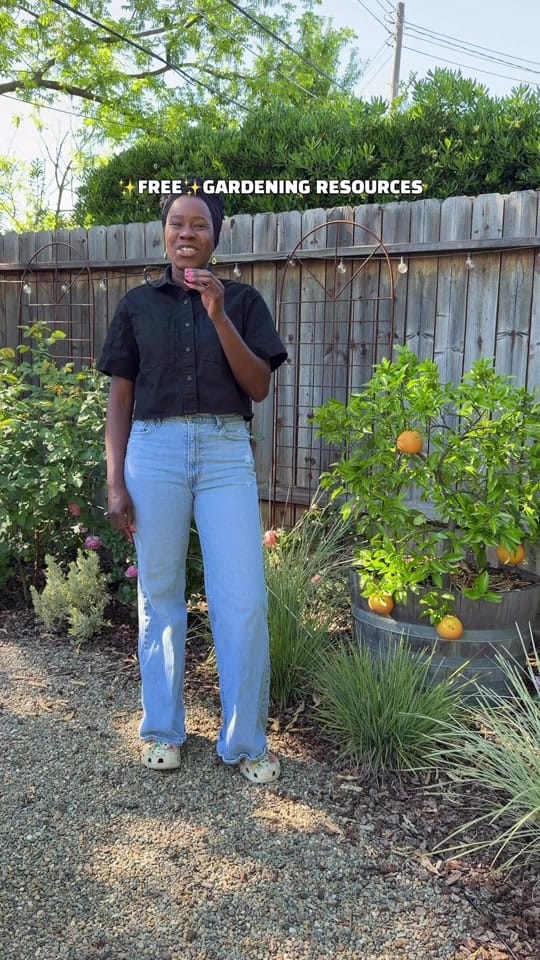 Post 6 by curlycultivators on TikTok (video)