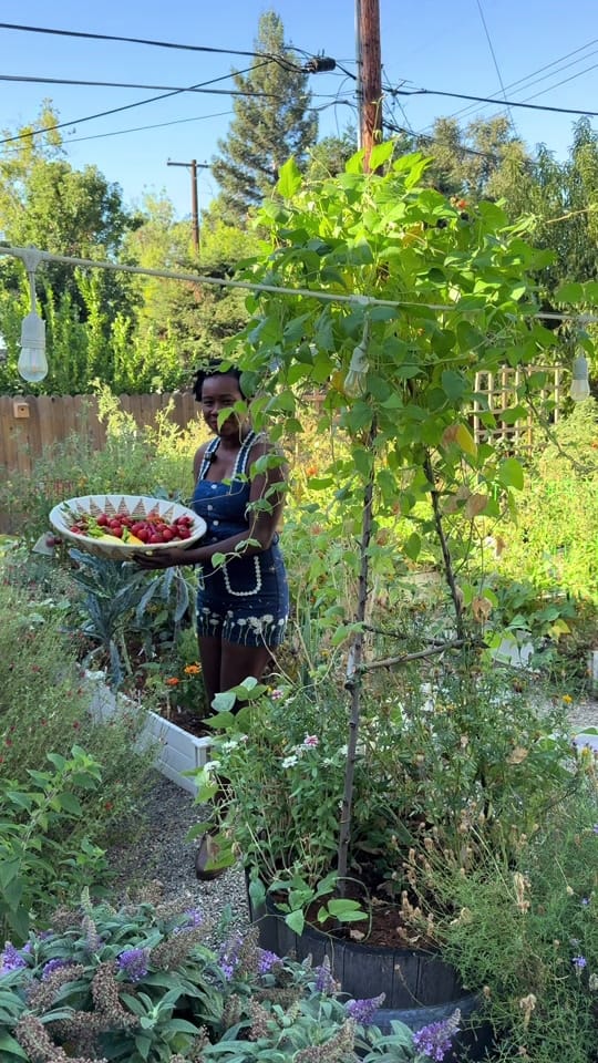 Post 7 by curlycultivators on TikTok (video)