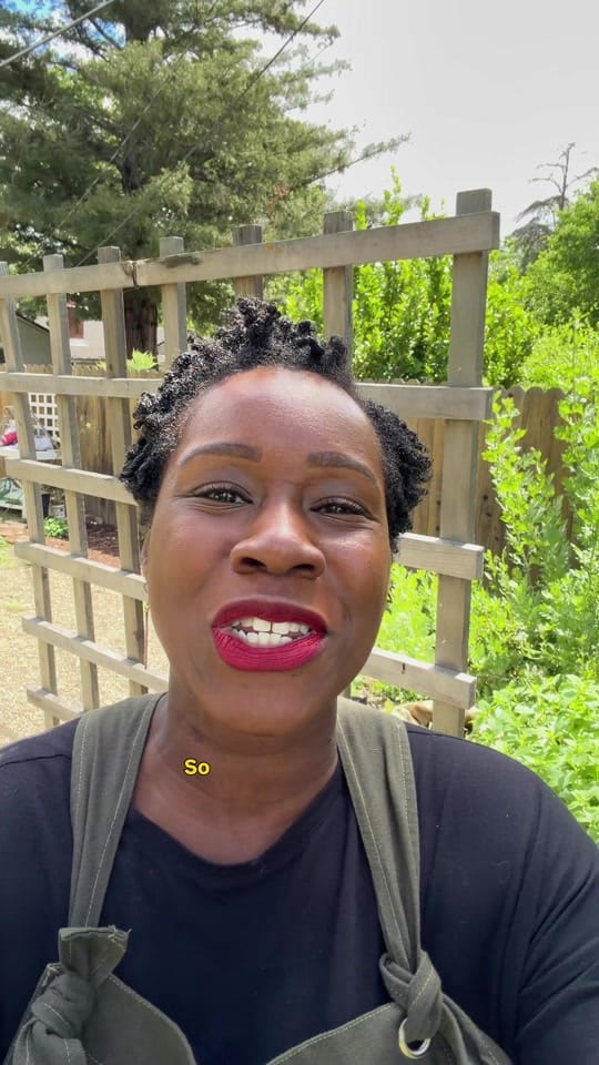 Post 2 by curlycultivators on TikTok (video)