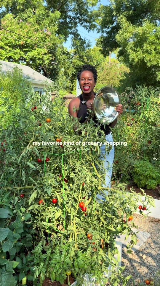 Post 4 by curlycultivators on TikTok (video)
