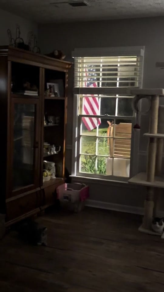 Post 4 by Suryka&Squatchy on TikTok (video)