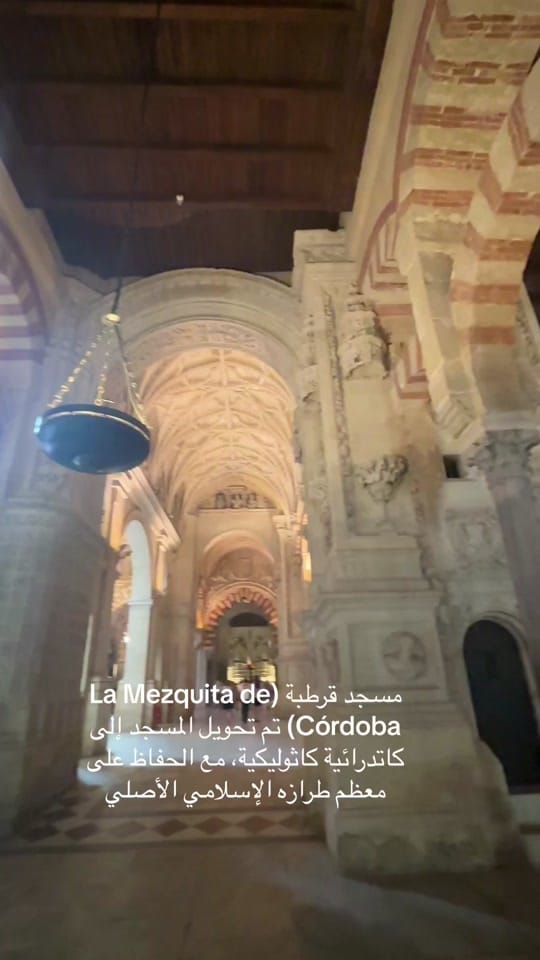 Post 9 by Aya on TikTok (video)