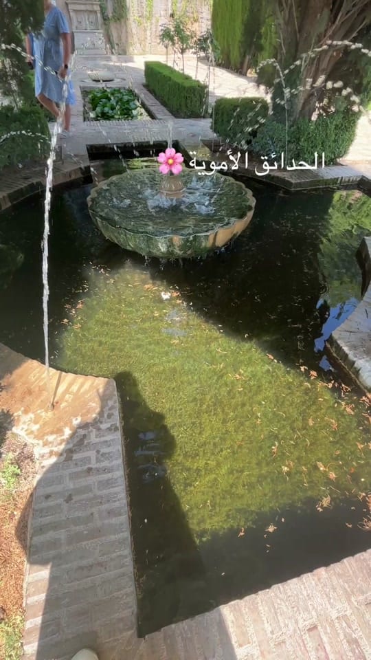 Post 10 by Aya on TikTok (video)
