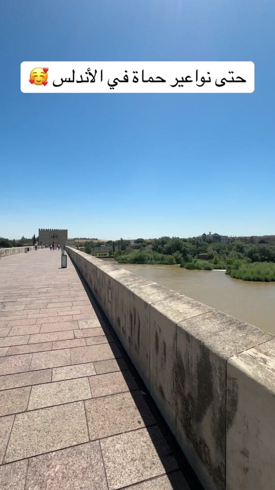 Post 5 by Aya on TikTok (video)